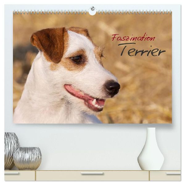 Faszination Terrier (hochwertiger Premium Wandkalender 2026 DIN A2 quer), Kunstdruck in Hochglanz