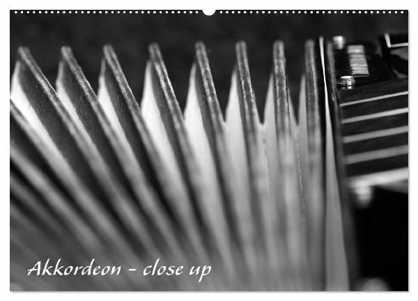 Akkordeon - close up (Wandkalender 2026 DIN A2 quer), CALVENDO Monatskalender