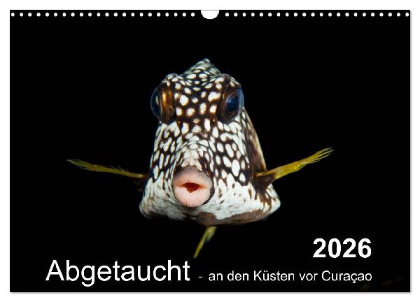 Abgetaucht - an den Küsten vor Curaçao (Wandkalender 2026 DIN A3 quer), CALVENDO Monatskalender