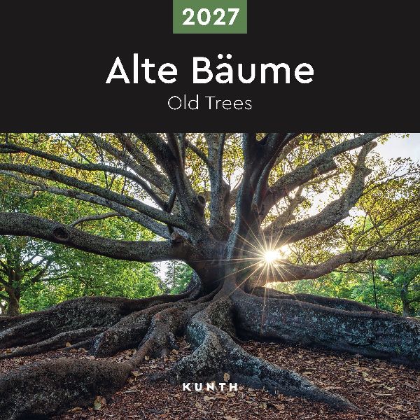 Alte Bäume - KUNTH Broschurkalender 2027