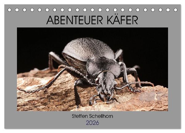 ABENTEUER KÄFER (Tischkalender 2026 DIN A5 quer), CALVENDO Monatskalender