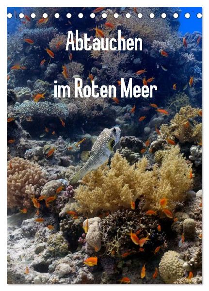 Abtauchen im Roten Meer (Tischkalender 2026 DIN A5 hoch), CALVENDO Monatskalender