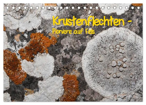 Krustenflechten - Pioniere auf Fels (Tischkalender 2026 DIN A5 quer), CALVENDO Monatskalender