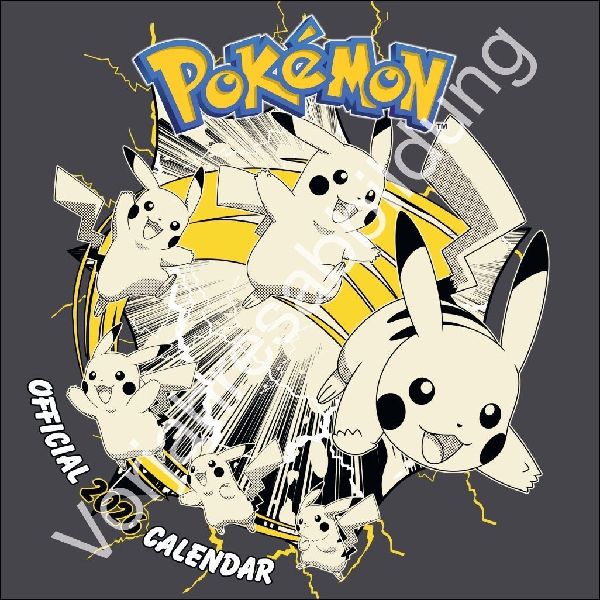 Pokémon Broschurkalender 2027