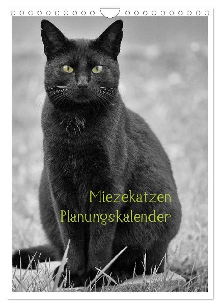 Miezekatzen Planungskalender (Wandkalender 2026 DIN A4 hoch), CALVENDO Monatskalender