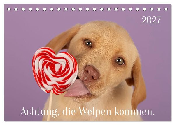 Achtung die Welpen kommen. (Tischkalender 2027 DIN A5 quer), CALVENDO Monatskalender