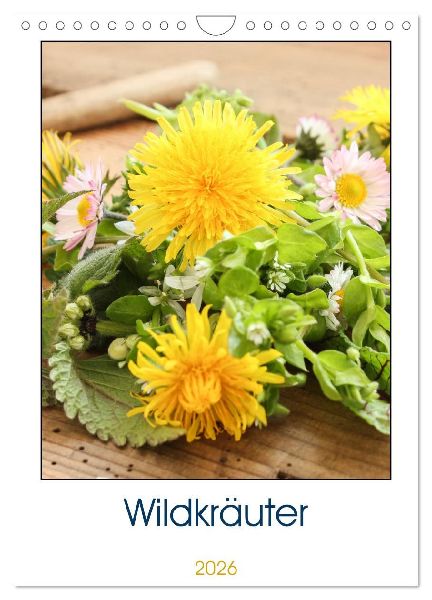 Essbare Wildkräuter (Wandkalender 2026 DIN A4 hoch), CALVENDO Monatskalender