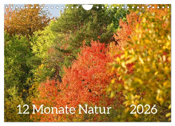 12 Monate Natur (Wandkalender 2026 DIN A4 quer), CALVENDO Monatskalender