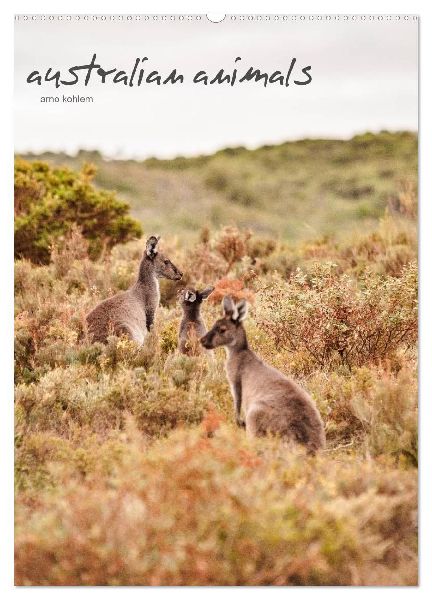 australian animals (Wandkalender 2026 DIN A2 hoch), CALVENDO Monatskalender