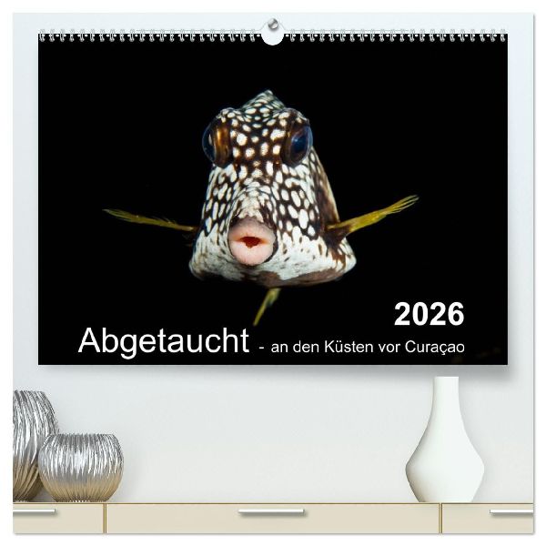 Abgetaucht - an den Küsten vor Curaçao (hochwertiger Premium Wandkalender 2026 DIN A2 quer), Kunstdruck in Hochglanz