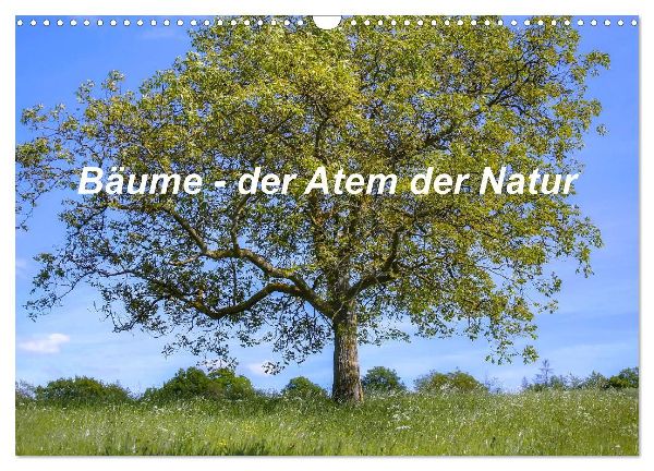 Bäume, der Atem der Natur (Wandkalender 2026 DIN A3 quer), CALVENDO Monatskalender