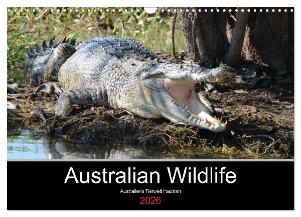 Australian Wildlife (Wandkalender 2026 DIN A3 quer), CALVENDO Monatskalender