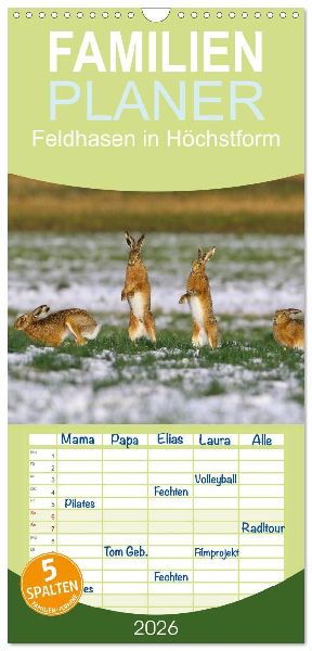 Familienplaner 2026 - Feldhasen in Höchstform mit 5 Spalten (Wandkalender, 21 x 45 cm) CALVENDO