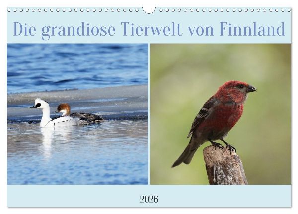 Die grandiose Tierwelt von Finnland (Wandkalender 2026 DIN A3 quer), CALVENDO Monatskalender