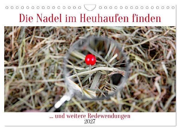 Die Nadel im Heuhaufen finden (Wandkalender 2027 DIN A4 quer), CALVENDO Monatskalender