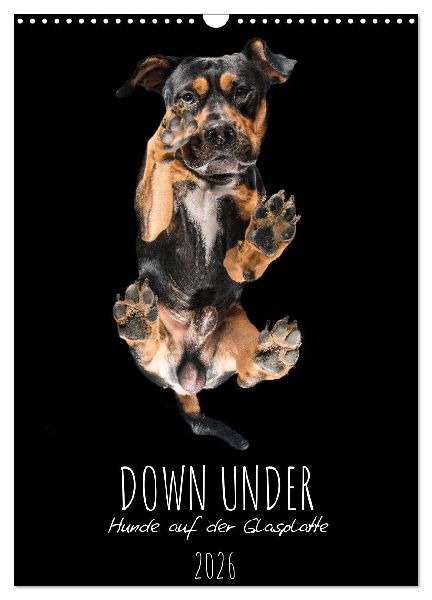 Down Under - Hunde auf der Glasplatte (Wandkalender 2026 DIN A3 hoch), CALVENDO Monatskalender