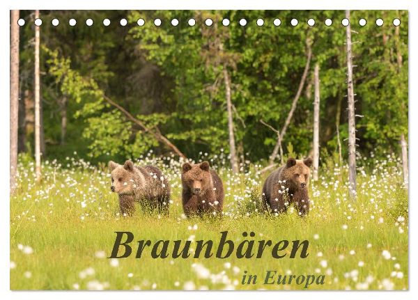 Braunbären in Europa (Tischkalender 2026 DIN A5 quer), CALVENDO Monatskalender
