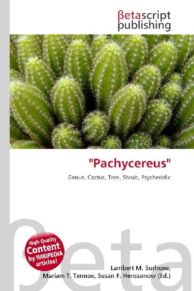''Pachycereus''