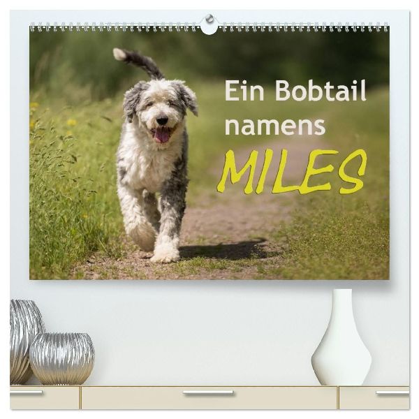 Ein Bobtail namens Miles (hochwertiger Premium Wandkalender 2026 DIN A2 quer), Kunstdruck in Hochglanz