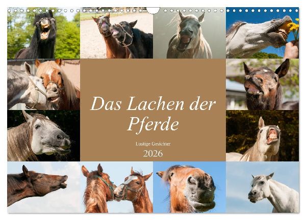 Das Lachen der Pferde - Lustige Gesichter (Wandkalender 2026 DIN A3 quer), CALVENDO Monatskalender