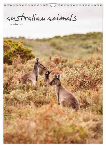 australian animals (Wandkalender 2026 DIN A3 hoch), CALVENDO Monatskalender