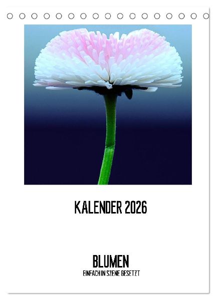 BLUMEN EINFACH IN SZENE GESETZT (Tischkalender 2026 DIN A5 hoch), CALVENDO Monatskalender