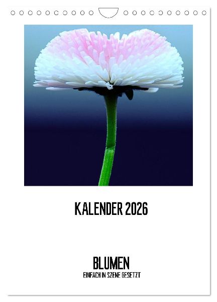 BLUMEN EINFACH IN SZENE GESETZT (Wandkalender 2026 DIN A4 hoch), CALVENDO Monatskalender