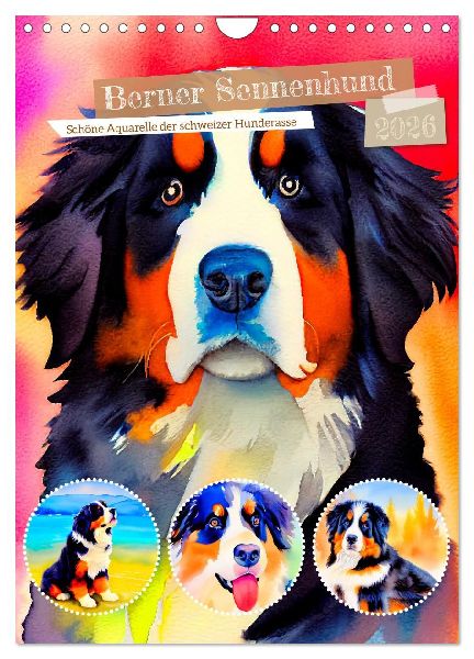 Berner Sennenhund 2026. Schöne Aquarelle der schweizer Hunderasse (Wandkalender 2026 DIN A4 hoch), CALVENDO Monatskalender