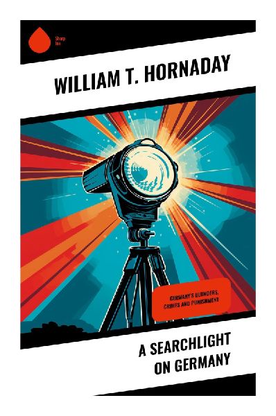 A Searchlight on Germany