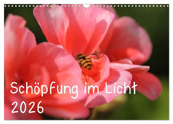 Schöpfung im Licht (Wandkalender 2026 DIN A3 quer), CALVENDO Monatskalender