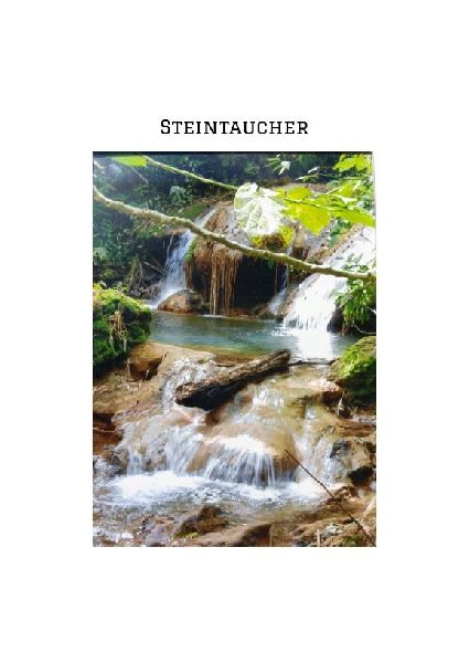 "STEINTAUCHER "   Liebesdurstige Beobachtungen eines in die Jahre gekommenen Mannes. Gerade so,als hätte da jemand noch einmal seine Träume an das Firmament gehangen.