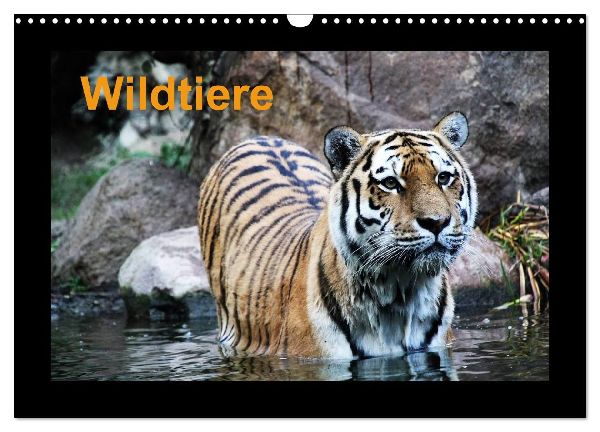 Wildtiere (Wandkalender 2026 DIN A3 quer), CALVENDO Monatskalender