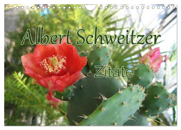 Albert Schweitzer Zitate (Wandkalender 2026 DIN A4 quer), CALVENDO Monatskalender