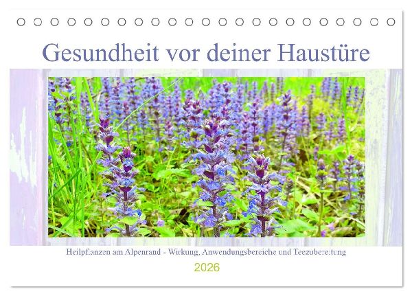 Gesundheit vor deiner Haustüre - Heilpflanzen am Alpenrand - Wirkung, Anwendungsbereiche und Teezubereitung (Tischkalender 2026 DIN A5 quer), CALVENDO Monatskalender