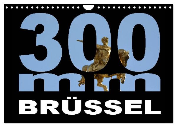 300mm - Brüssel (Wandkalender 2026 DIN A4 quer), CALVENDO Monatskalender