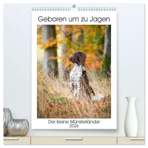 Geboren um zu Jagen. Der kleine Münsterländer (hochwertiger Premium Wandkalender 2026 DIN A2 hoch), Kunstdruck in Hochglanz