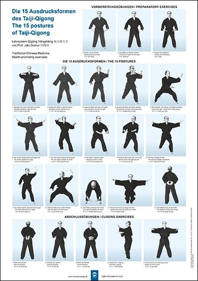 Die 15 Ausdrucksformen des Taiji Qigong Poster