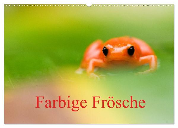 Farbige Frösche (Wandkalender 2026 DIN A2 quer), CALVENDO Monatskalender