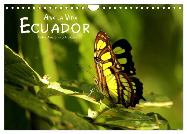 Ama la Vida Ecuador (Wandkalender 2026 DIN A4 quer), CALVENDO Monatskalender