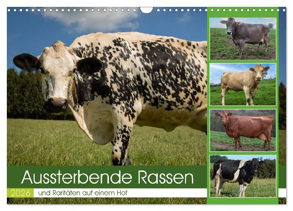 Aussterbende Rassen und Raritäten (Wandkalender 2026 DIN A3 quer), CALVENDO Monatskalender