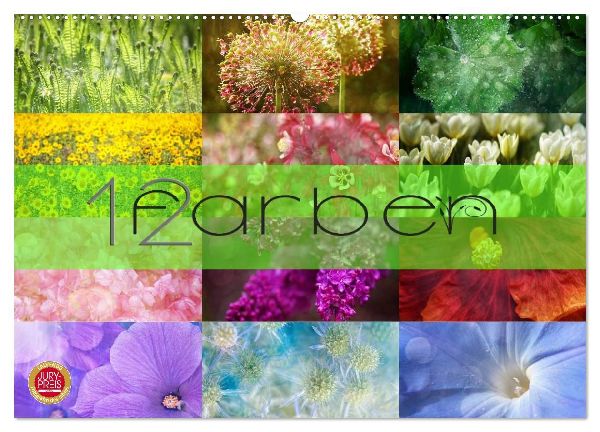12 Farben (Wandkalender 2026 DIN A2 quer), CALVENDO Monatskalender