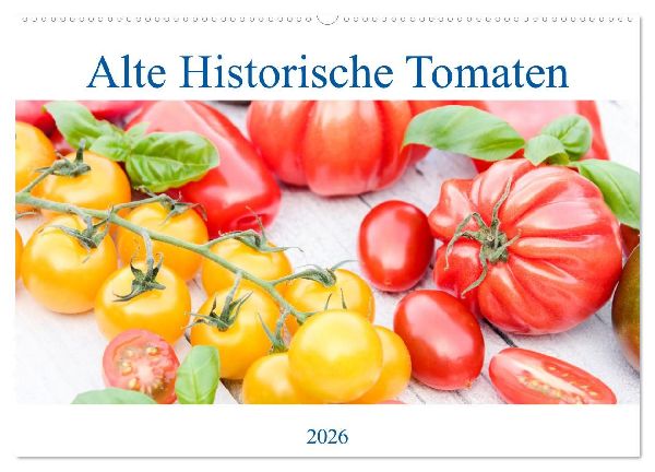 Alte Historische Tomaten (Wandkalender 2026 DIN A2 quer), CALVENDO Monatskalender