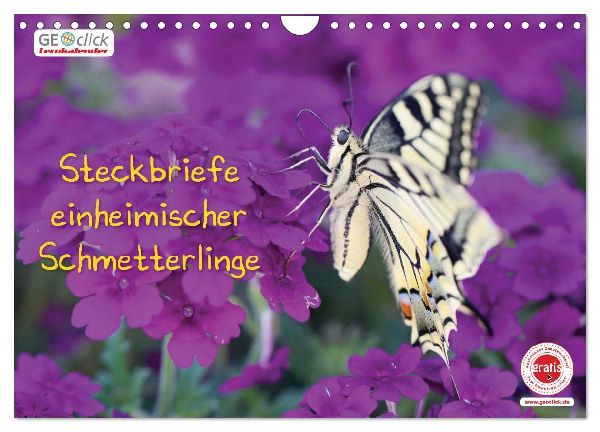 GEOclick Lernkalender: Steckbriefe einheimischer Schmetterlinge (Wandkalender 2026 DIN A4 quer), CALVENDO Monatskalender