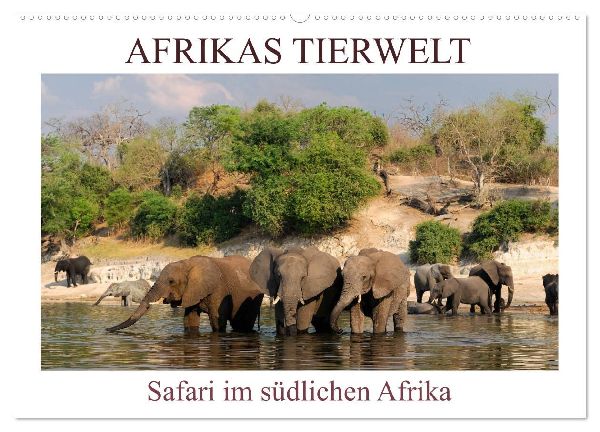 Afrikas Tierwelt, Safari im südlichen Afrika (Wandkalender 2026 DIN A2 quer), CALVENDO Monatskalender