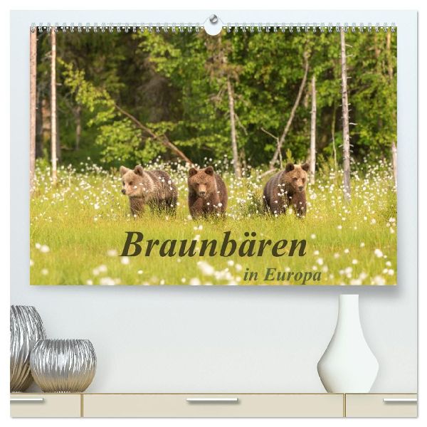 Braunbären in Europa (hochwertiger Premium Wandkalender 2026 DIN A2 quer), Kunstdruck in Hochglanz