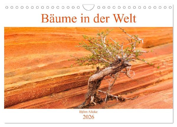 Bäume in der Welt (Wandkalender 2026 DIN A4 quer), CALVENDO Monatskalender