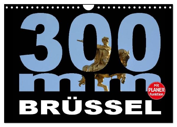 300mm - Brüssel (Wandkalender 2026 DIN A4 quer), CALVENDO Monatskalender
