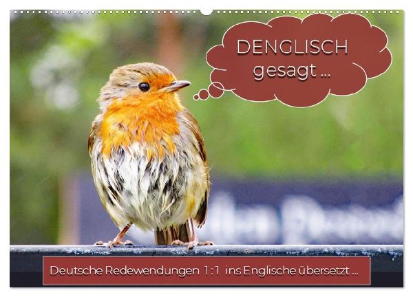 DENGLISCH gesagt ... (Wandkalender 2026 DIN A2 quer), CALVENDO Monatskalender