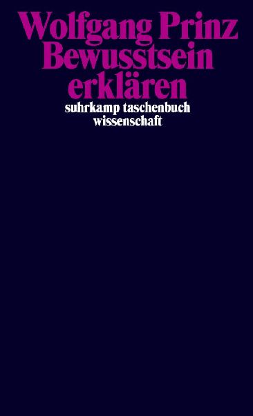 Bewusstsein erklären