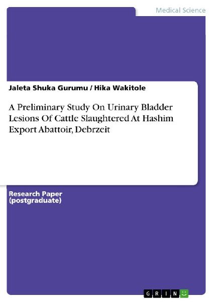 A Preliminary Study On Urinary Bladder Lesions Of Cattle Slaughtered At Hashim Export Abattoir, Debrzeit